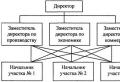 Организационная структура предприятия: виды и схемы