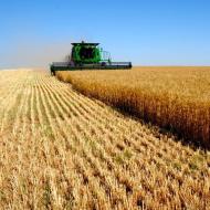 سودآورترین تجارت در کشاورزی - مخاطره آمیزترین و پایدارترین زمینه های فعالیت است